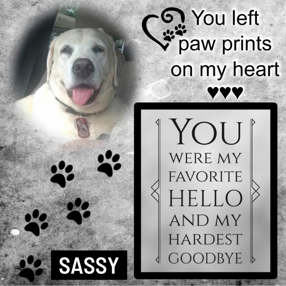 We are here to serve & spread God’s love. - Picture 15 of 15